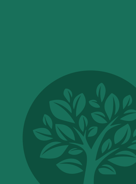 terra-conseil-per-individuel